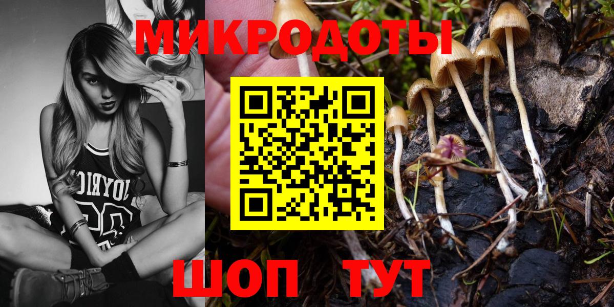 Псилоцибиновые грибы прущие грибы  Елабуга  Галлюциногенные грибы MAGIC MUSHROOMS 
