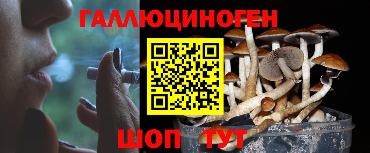 Галлюциногенные грибы MAGIC MUSHROOMS Елабуга